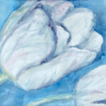 White Tulip
