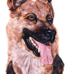 Good Dog! German Shepherd