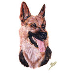 Good Dog! German Shepherd