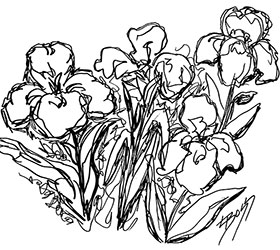 The Irish Sketch Original Line Drawing by Linda Boss