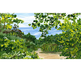Path to the Beach - Norwood<br/>Magnet